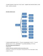 Konspekts 'Romiešu tiesības', 7.