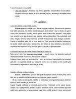 Konspekts 'Romiešu tiesības', 16.