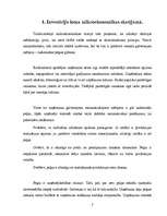 Referāts 'Investīciju nozīme uzņēmējdarbībā un ekonomikā', 5.