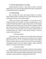 Referāts 'Investīciju nozīme uzņēmējdarbībā un ekonomikā', 11.