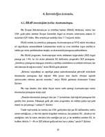 Referāts 'Investīciju nozīme uzņēmējdarbībā un ekonomikā', 20.