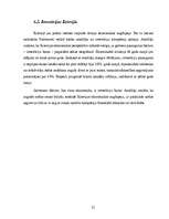 Referāts 'Investīciju nozīme uzņēmējdarbībā un ekonomikā', 21.