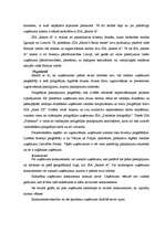 Prakses atskaite 'Prakses atskaite SIA "Rearts A"', 8.