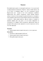 Referāts 'Маркетинговый аудит', 4.