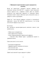 Referāts 'Маркетинговый аудит', 19.