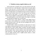 Referāts 'Iepirkumu somu lietošana Saldus veikalos', 8.