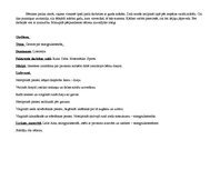 Prakses atskaite 'Prakses nedēļa pirmsskolas izglītības iestādes vidējā pirmsskolas vecuma grupā', 2.