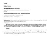 Prakses atskaite 'Prakses nedēļa pirmsskolas izglītības iestādes vidējā pirmsskolas vecuma grupā', 5.