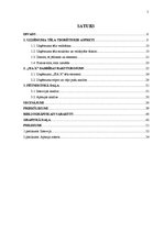 Referāts 'Plastikāta karšu un identifikācijas dokumentu ražošanas uzņēmuma tēla pilnveide', 5.