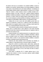 Referāts 'Plastikāta karšu un identifikācijas dokumentu ražošanas uzņēmuma tēla pilnveide', 11.