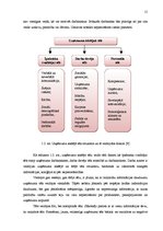Referāts 'Plastikāta karšu un identifikācijas dokumentu ražošanas uzņēmuma tēla pilnveide', 15.