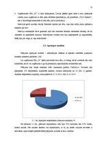 Referāts 'Plastikāta karšu un identifikācijas dokumentu ražošanas uzņēmuma tēla pilnveide', 32.