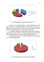 Referāts 'Plastikāta karšu un identifikācijas dokumentu ražošanas uzņēmuma tēla pilnveide', 36.