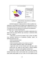 Diplomdarbs 'SIA "Auto” darbība un attīstības iespējas', 29.