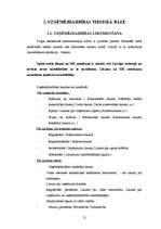 Diplomdarbs 'SIA "Auto” darbība un attīstības iespējas', 31.