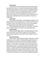 Konspekts 'Konfliktu analīze', 2.