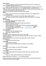 Konspekts 'Ledāji', 1.