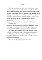 Referāts 'Izcilie matemātiķi', 5.