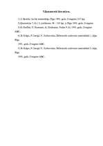 Referāts 'Izcilie matemātiķi', 18.