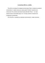 Referāts 'Izcilie matemātiķi', 19.