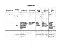 Konspekts 'Mācību metodes', 1.