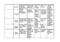 Konspekts 'Mācību metodes', 3.