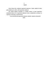 Referāts 'Organizācijas sakārtojums', 2.