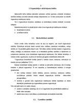 Referāts 'Organizācijas sakārtojums', 3.