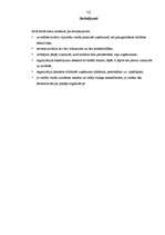 Referāts 'Organizācijas sakārtojums', 10.