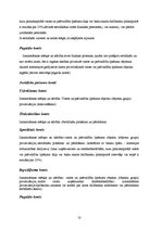 Referāts 'Latvijas Hipotēku un zemes banka', 18.