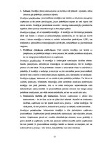 Referāts 'RISEBA un BA "Turība" pozicionēšanas paņēmieni un to atspoguļojums drukātajos ma', 10.