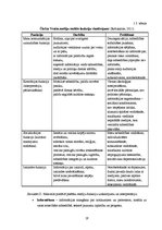 Referāts 'RISEBA un BA "Turība" pozicionēšanas paņēmieni un to atspoguļojums drukātajos ma', 19.
