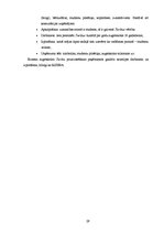 Referāts 'RISEBA un BA "Turība" pozicionēšanas paņēmieni un to atspoguļojums drukātajos ma', 29.