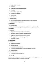 Referāts 'RISEBA un BA "Turība" pozicionēšanas paņēmieni un to atspoguļojums drukātajos ma', 31.