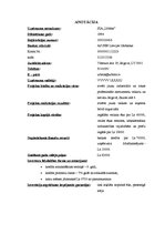 Biznesa plāns 'SIA "Urbītis" jauna veikala atvēršana Jelgavā', 3.