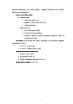 Biznesa plāns 'SIA "Urbītis" jauna veikala atvēršana Jelgavā', 7.