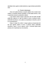 Biznesa plāns 'SIA "Urbītis" jauna veikala atvēršana Jelgavā', 11.