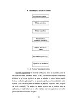 Referāts 'Kviešu maizes "Rudens" izstrādes shēma', 12.