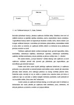 Prakses atskaite 'Darbības pamatprincipu un komunikācijas procesa izpēte kultūras organizācijā "La', 6.