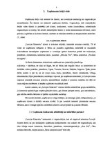 Prakses atskaite 'Darbības pamatprincipu un komunikācijas procesa izpēte kultūras organizācijā "La', 7.