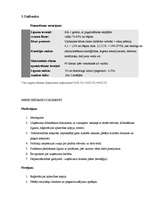 Referāts 'Faktorings', 9.