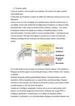 Konspekts 'Smaržas sajūtu rašanās ģenētikā, mainība un uzvedība', 4.