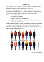 Referāts 'Emocionālais intelekts', 6.