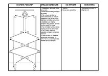 Konspekts 'Spēle sportā', 2.