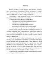 Diplomdarbs 'Ar preču pārvietošanu saistīto dokumentu izmantošanas analīze muitošanas procesā', 3.