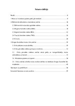 Diplomdarbs 'Ar preču pārvietošanu saistīto dokumentu izmantošanas analīze muitošanas procesā', 5.