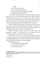 Diplomdarbs 'Ar preču pārvietošanu saistīto dokumentu izmantošanas analīze muitošanas procesā', 17.