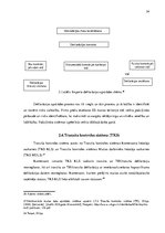 Diplomdarbs 'Ar preču pārvietošanu saistīto dokumentu izmantošanas analīze muitošanas procesā', 24.