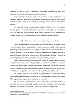 Diplomdarbs 'Ar preču pārvietošanu saistīto dokumentu izmantošanas analīze muitošanas procesā', 32.