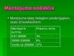 Prezentācija 'Nodokļu administrēšana Beļģijā', 13.
